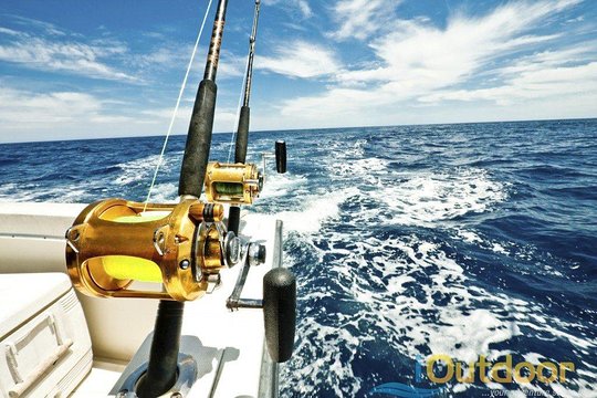 Tour image 6